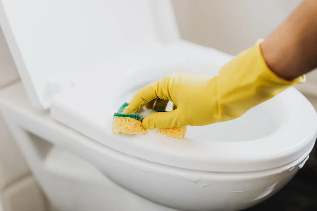 Toilet Repair & Replacement in Monroe